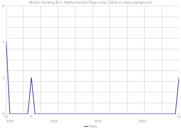 Molen Holding B.V. (Netherlands) Page visits 2024 