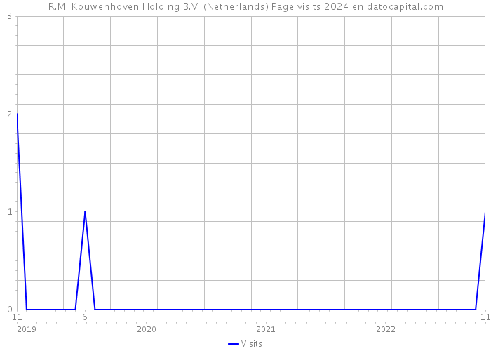 R.M. Kouwenhoven Holding B.V. (Netherlands) Page visits 2024 