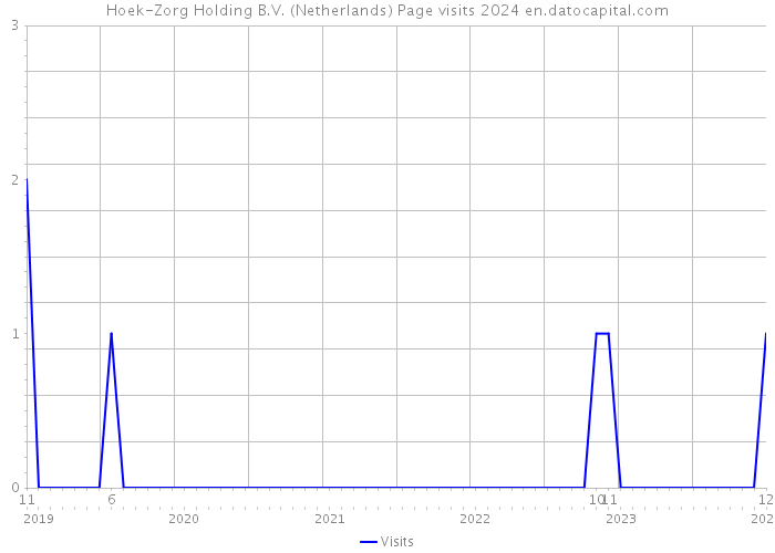 Hoek-Zorg Holding B.V. (Netherlands) Page visits 2024 