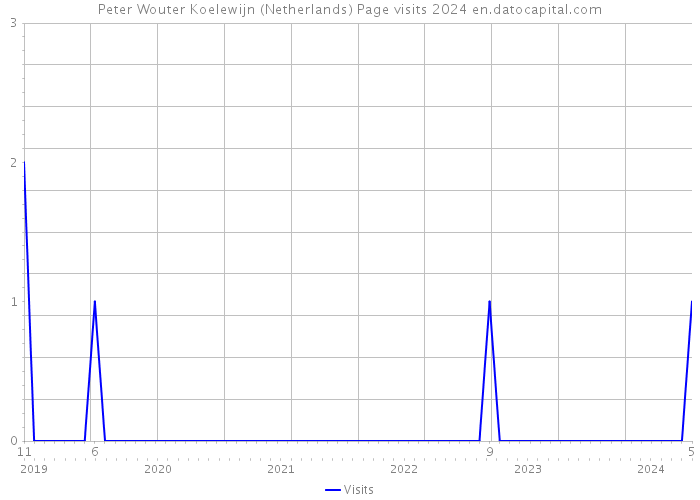 Peter Wouter Koelewijn (Netherlands) Page visits 2024 