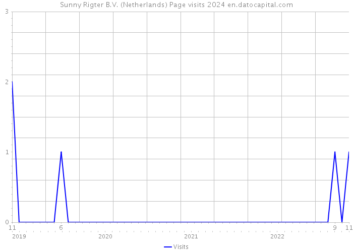 Sunny Rigter B.V. (Netherlands) Page visits 2024 