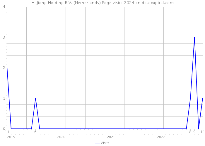 H. Jiang Holding B.V. (Netherlands) Page visits 2024 