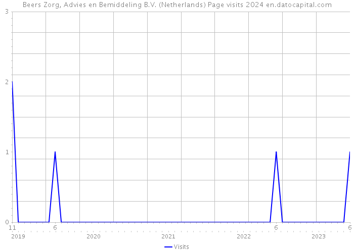 Beers Zorg, Advies en Bemiddeling B.V. (Netherlands) Page visits 2024 