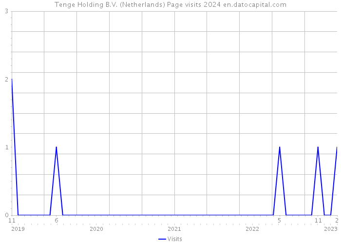 Tenge Holding B.V. (Netherlands) Page visits 2024 
