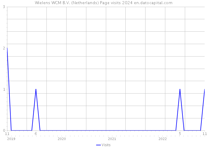 Wielens WCM B.V. (Netherlands) Page visits 2024 