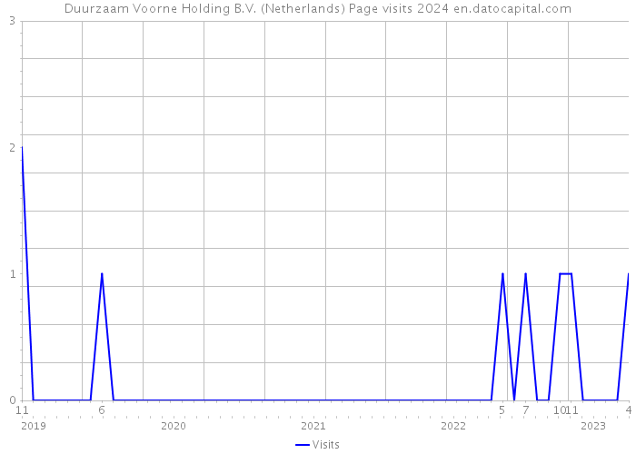 Duurzaam Voorne Holding B.V. (Netherlands) Page visits 2024 