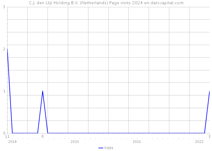 C.J. den Uijl Holding B.V. (Netherlands) Page visits 2024 