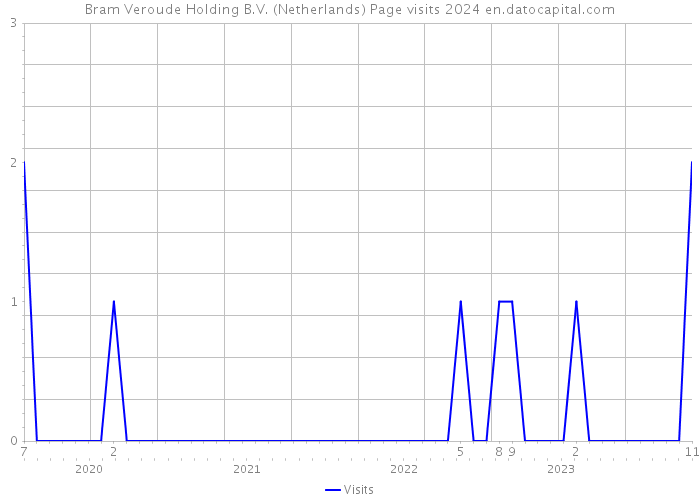 Bram Veroude Holding B.V. (Netherlands) Page visits 2024 