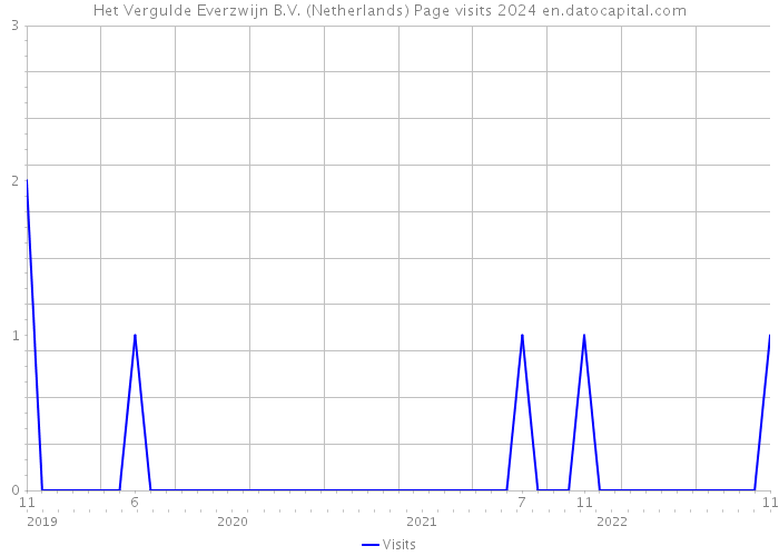 Het Vergulde Everzwijn B.V. (Netherlands) Page visits 2024 