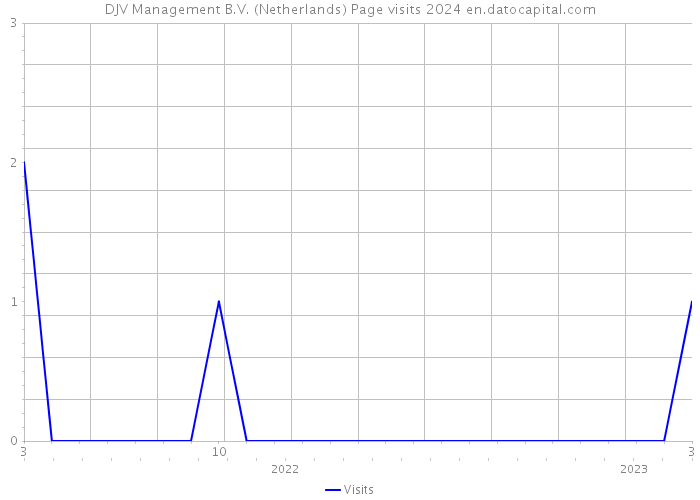 DJV Management B.V. (Netherlands) Page visits 2024 