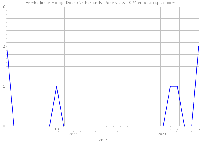 Femke Jitske Molog-Does (Netherlands) Page visits 2024 