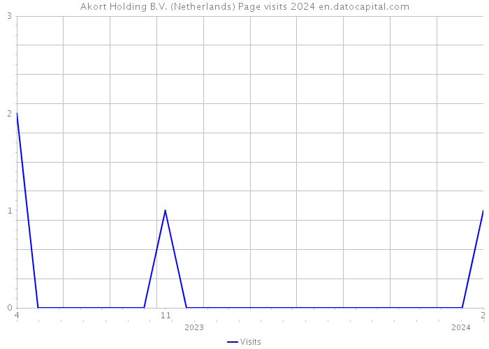 Akort Holding B.V. (Netherlands) Page visits 2024 