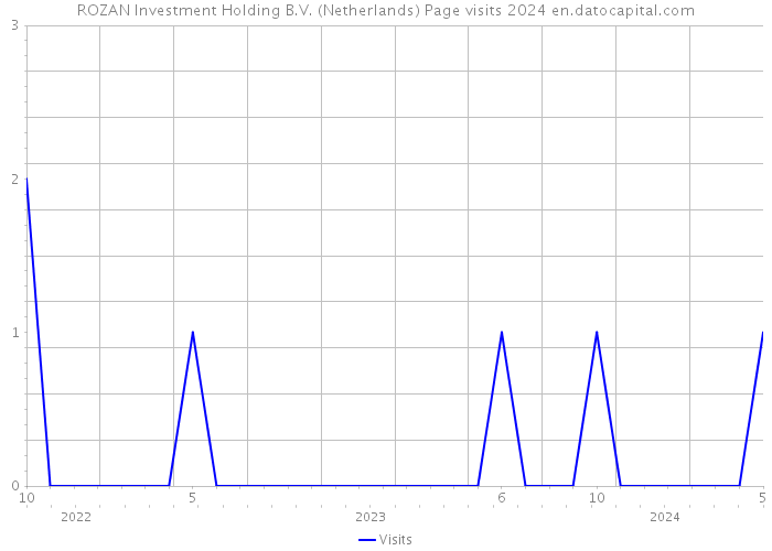 ROZAN Investment Holding B.V. (Netherlands) Page visits 2024 