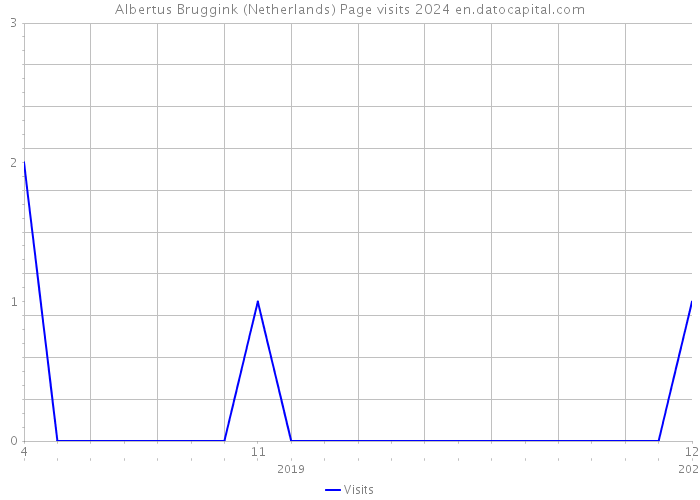 Albertus Bruggink (Netherlands) Page visits 2024 