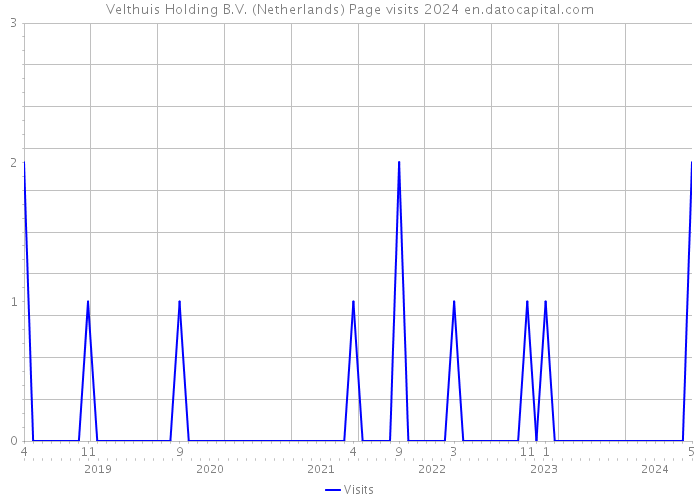 Velthuis Holding B.V. (Netherlands) Page visits 2024 