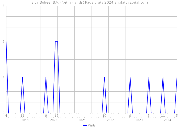 Blue Beheer B.V. (Netherlands) Page visits 2024 