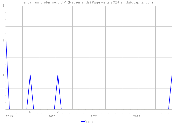Tenge Tuinonderhoud B.V. (Netherlands) Page visits 2024 