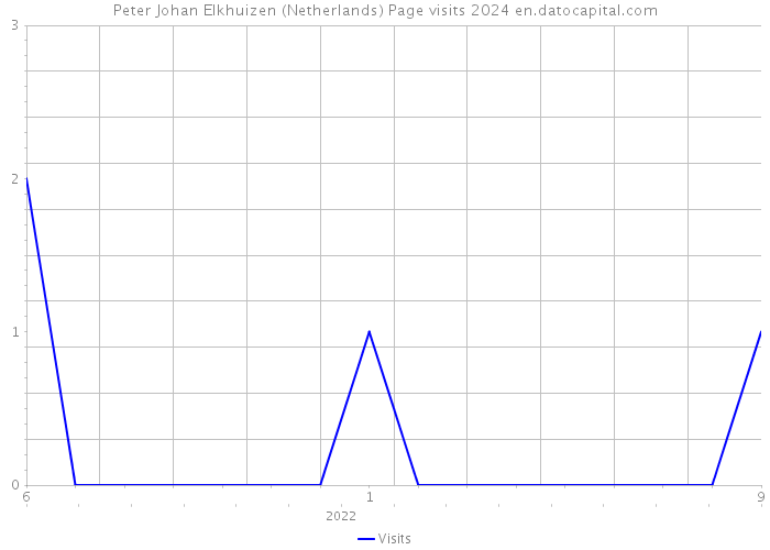 Peter Johan Elkhuizen (Netherlands) Page visits 2024 