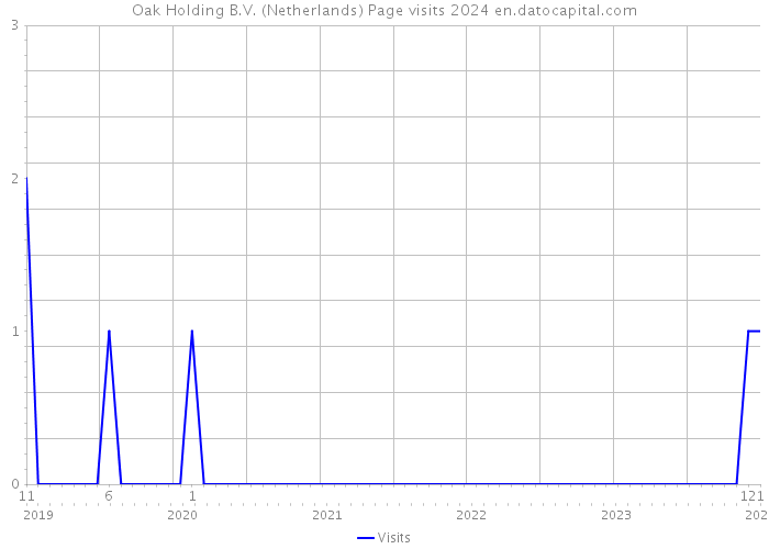 Oak Holding B.V. (Netherlands) Page visits 2024 
