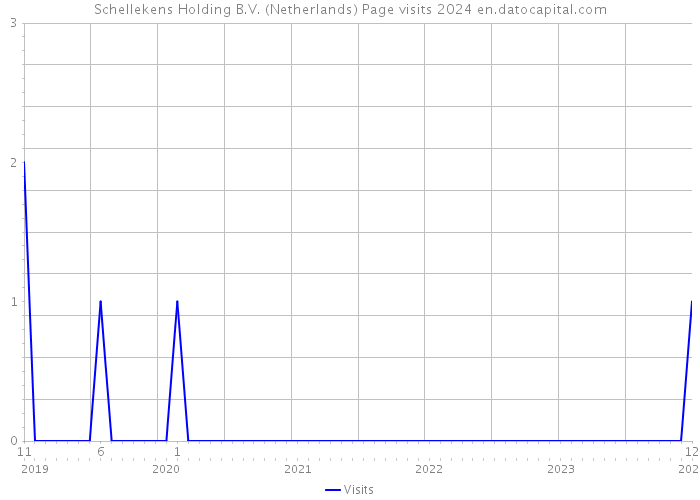 Schellekens Holding B.V. (Netherlands) Page visits 2024 