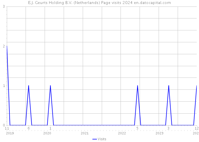 E.J. Geurts Holding B.V. (Netherlands) Page visits 2024 
