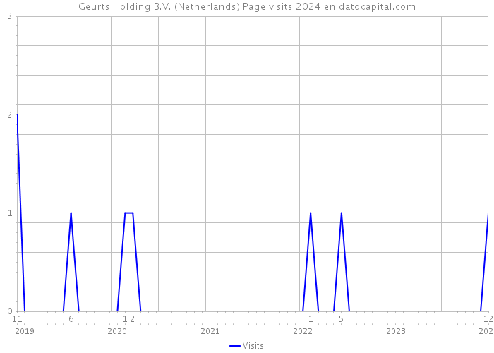 Geurts Holding B.V. (Netherlands) Page visits 2024 