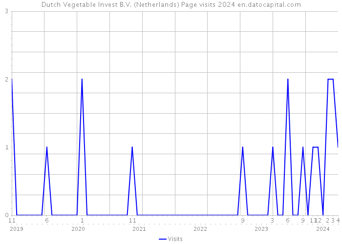 Dutch Vegetable Invest B.V. (Netherlands) Page visits 2024 