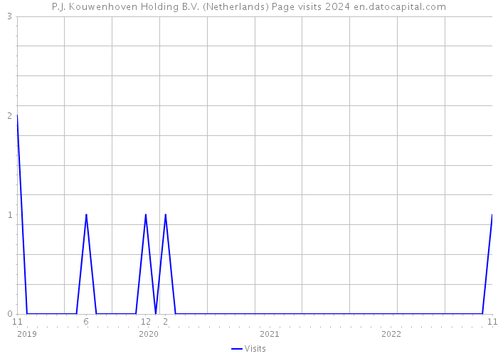 P.J. Kouwenhoven Holding B.V. (Netherlands) Page visits 2024 