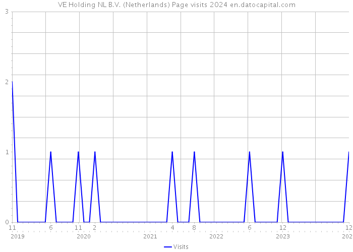 VE Holding NL B.V. (Netherlands) Page visits 2024 