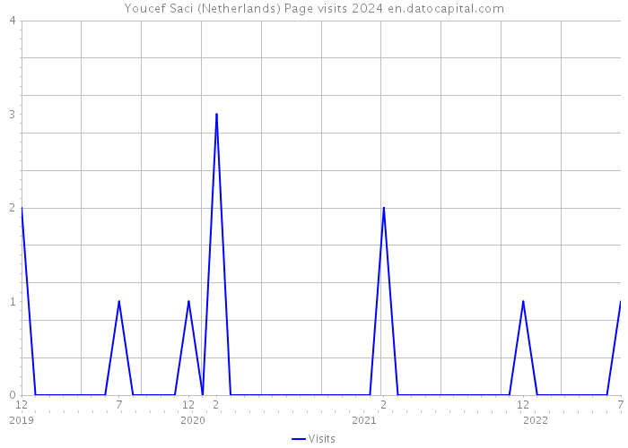 Youcef Saci (Netherlands) Page visits 2024 