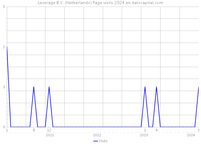 Leverage B.V. (Netherlands) Page visits 2024 