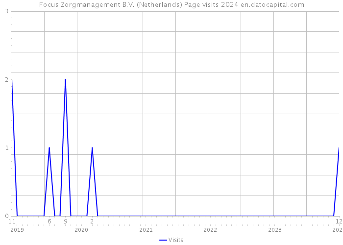 Focus Zorgmanagement B.V. (Netherlands) Page visits 2024 