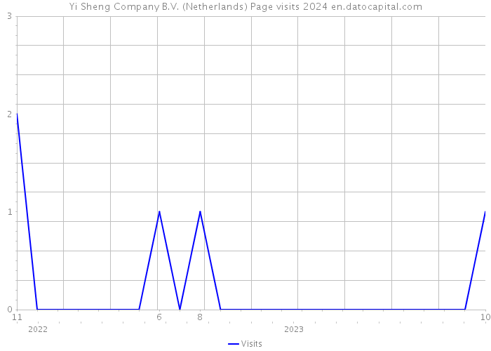 Yi Sheng Company B.V. (Netherlands) Page visits 2024 