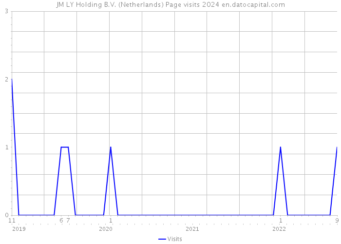 JM LY Holding B.V. (Netherlands) Page visits 2024 
