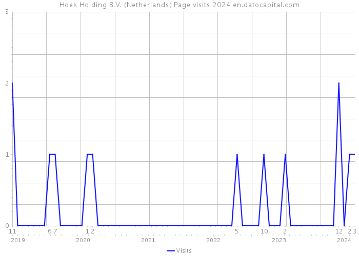 Hoek Holding B.V. (Netherlands) Page visits 2024 