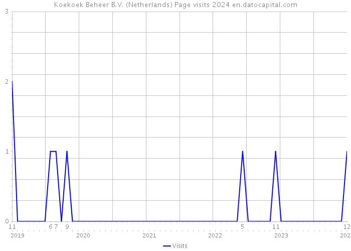 Koekoek Beheer B.V. (Netherlands) Page visits 2024 