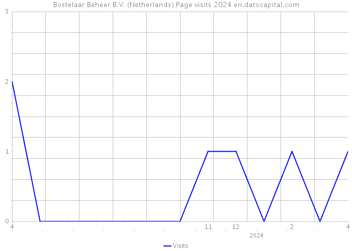 Bostelaar Beheer B.V. (Netherlands) Page visits 2024 