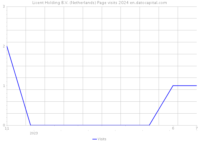 Licent Holding B.V. (Netherlands) Page visits 2024 