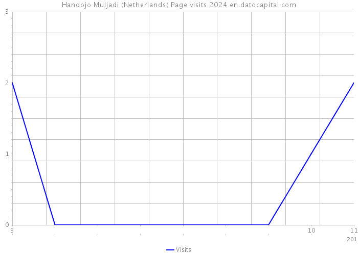 Handojo Muljadi (Netherlands) Page visits 2024 