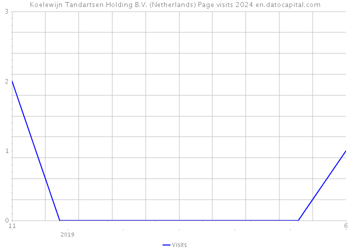 Koelewijn Tandartsen Holding B.V. (Netherlands) Page visits 2024 