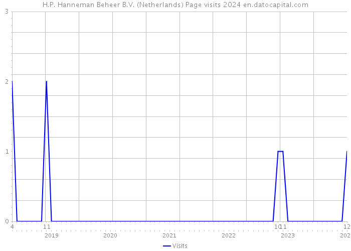 H.P. Hanneman Beheer B.V. (Netherlands) Page visits 2024 