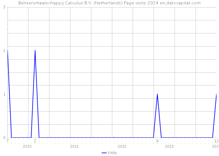Beheersmaatschappij Calculus B.V. (Netherlands) Page visits 2024 