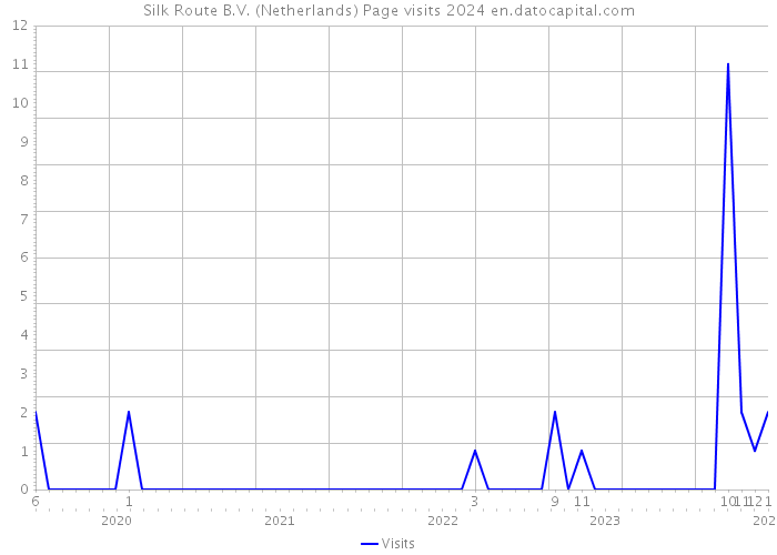 Silk Route B.V. (Netherlands) Page visits 2024 