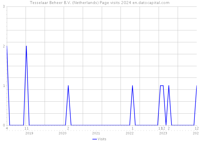 Tesselaar Beheer B.V. (Netherlands) Page visits 2024 