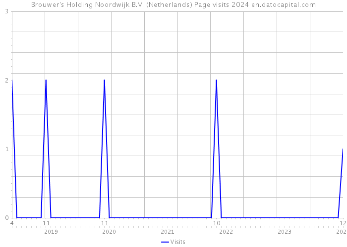 Brouwer's Holding Noordwijk B.V. (Netherlands) Page visits 2024 