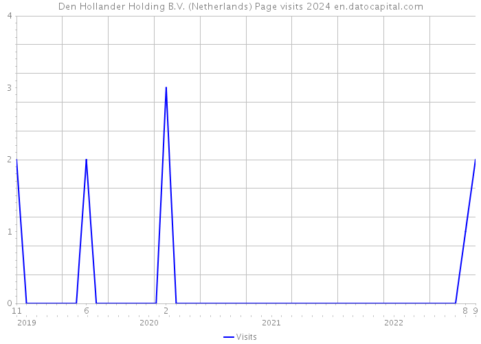 Den Hollander Holding B.V. (Netherlands) Page visits 2024 
