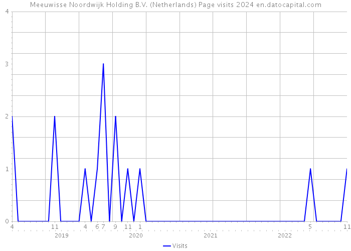 Meeuwisse Noordwijk Holding B.V. (Netherlands) Page visits 2024 