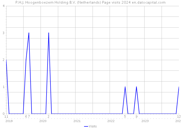 P.H.J. Hoogenboezem Holding B.V. (Netherlands) Page visits 2024 