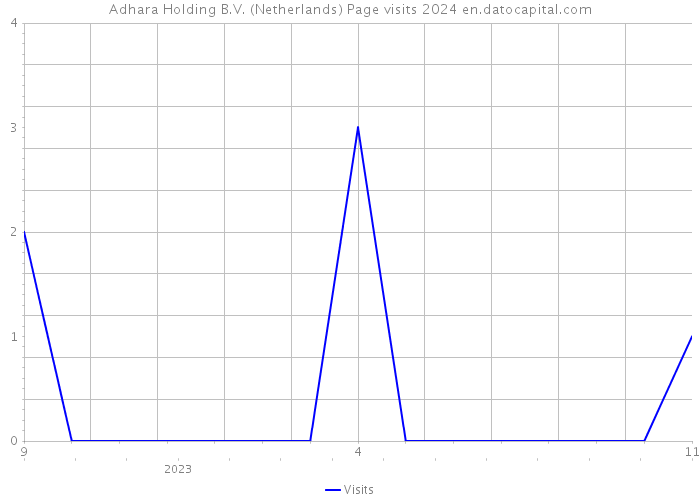 Adhara Holding B.V. (Netherlands) Page visits 2024 