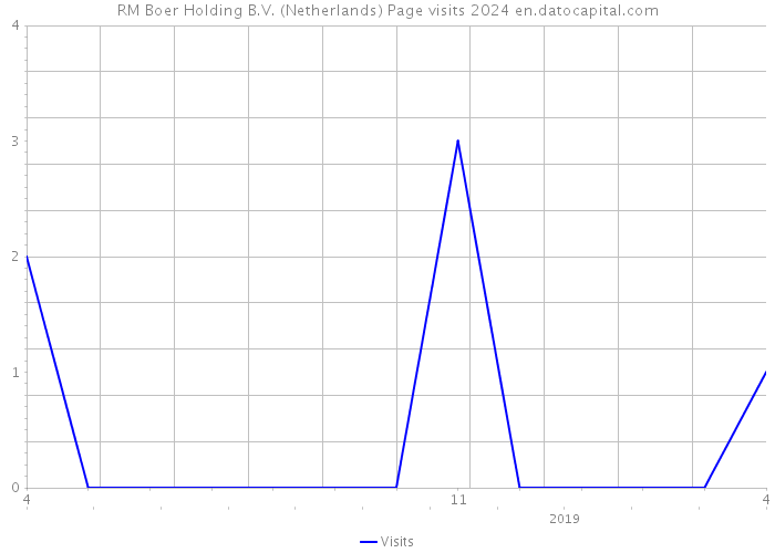 RM Boer Holding B.V. (Netherlands) Page visits 2024 